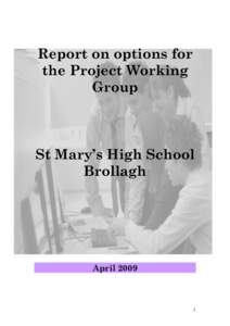 Report on options for the Project Working Group St Mary’s High School Brollagh