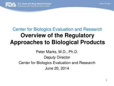 Center for Biologics Evaluation and Research  Overview of the Regulatory Approaches to Biological Products Peter Marks, M.D., Ph.D. Deputy Director