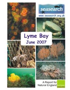 Conservation in the United Kingdom / Marine Conservation Society / Nautical Archaeology Society / Lyme Bay / Recreational diving / MSC Napoli / Lyme Regis / Dorset / Geography of England / Geography of the United Kingdom