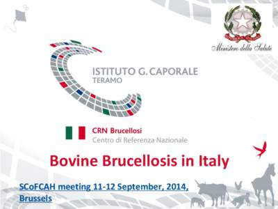 Bovine Brucellosis in Italy SCoFCAH meeting[removed]September, 2014, Brussels BOVINE Brucellosis – Officially-free provinces 2013