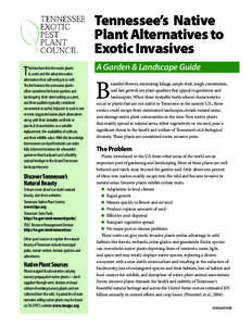 invasive_alternatives_printable.indd