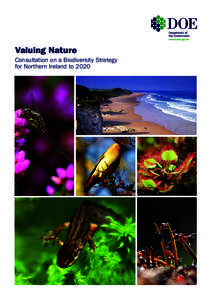 Valuing Nature Consultation on a Biodiversity Strategy for Northern Ireland to 2020 Cover Photographs From Left to Right 1. Dragon Fly by Robert Thompson