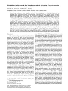 Plastid-Derived Genes in the Nonphotosynthetic Alveolate Oxyrrhis marina Claudio H. Slamovits and Patrick J. Keeling Department of Botany, University of British Columbia, Vancouver, British Columbia, Canada Reconstructin