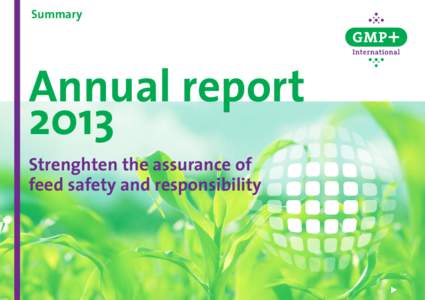 Summary  Annual report