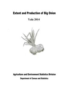 Yala 2014  ` Forecast of Extent and Production of Big Onion Yala 2014 Introduction