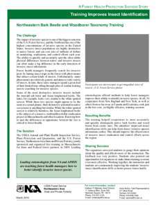 Northeastern Bark Beetle and Woodborer Taxonomy Training