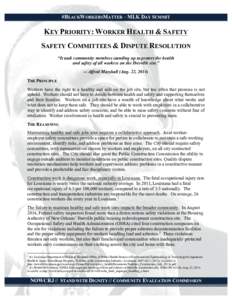 #BLACKWORKERSMATTER – MLK DAY SUMMIT  KEY PRIORITY: WORKER HEALTH & SAFETY SAFETY COMMITTEES & DISPUTE RESOLUTION “It took community members standing up to protect the health and safety of all workers on the Ibervill