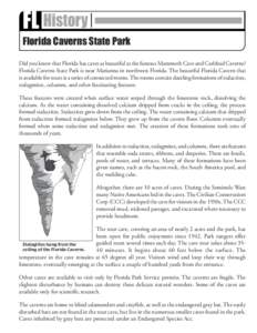 FL History  Early 1800s Florida Caverns State Park Did you know that Florida has caves as beautiful as the famous Mammoth Cave and Carlsbad Caverns?