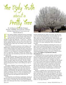 The Ugly Truth 		 about a Pretty Tree By Jud Easterwood, Wildlife Biologist, Division of Wildlife and Freshwater Fisheries, Alabama Department of Conservation and