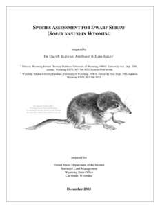 Microsoft Word - Dwarf Shrew - Final _Dec 2005_.doc