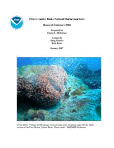 Water / Fisheries / Physical geography / Anthozoa / Zoology / Fire coral / Coral / Elkhorn coral / Millepora alcicornis / Coral reefs / Anthomedusae / Flower Garden Banks National Marine Sanctuary