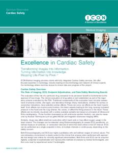 IMI Cardiac Safety Slipsheet:Layout 1.qxd