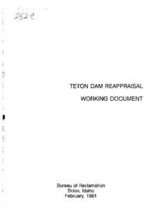 Teton Dam Reappraisal Working Document