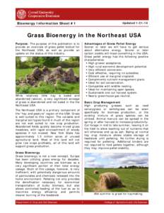 Microsoft Word - Biomass Info Sheet #1 Grass in the NE