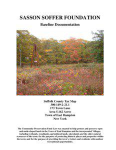 SASSON SOFFER FOUNDATION Baseline Documentation