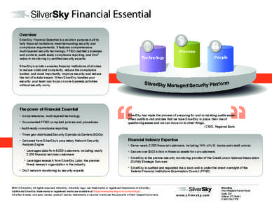 SilverSky_Financial_Essentials_Brochure_2013_P1