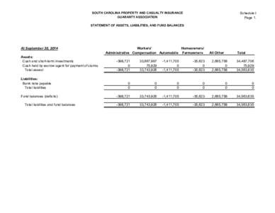 Schedule I Page 1. SOUTH CAROLINA PROPERTY AND CASUALTY INSURANCE GUARANTY ASSOCIATION STATEMENT OF ASSETS, LIABILITIES, AND FUND BALANCES