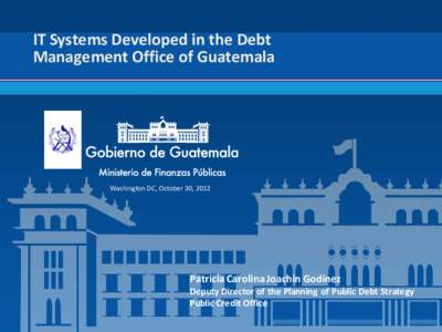 IT Systems Developed in the Debt Management Office of Guatemala