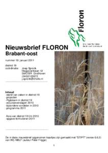 Nieuwsbrief_D19_Nr19_jan-2011