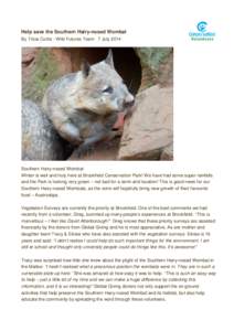 Help Save the Southern Hairy-nosed Wombat 7 July 2014