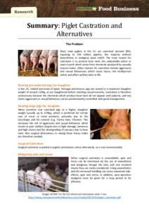 Summary: Piglet Castration and Alternatives The Problem Most male piglets in the EU are castrated (around 80%, equating to 100 million piglets), the majority without anaesthesia or analgesia (pain relief). The main reaso
