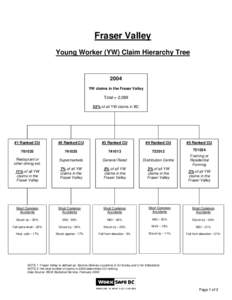 Fraser Valley Young Worker (YW) Claim Hierarchy Tree 2004 YW claims in the Fraser Valley