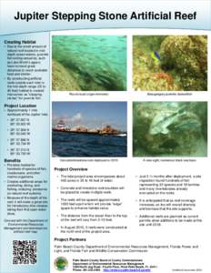 Jupiter Stepping Stone Artificial Reef Creating Habitat • Due to the small amount of natural reef located in middepth ocean waters, juvenile fish exiting estuaries, such as Lake Worth Lagoon,