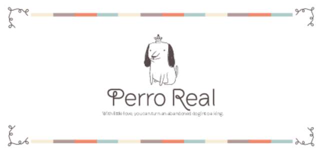 With little love, you can turn an abandoned dog into a king.   ABOUT PERRO REAL IN