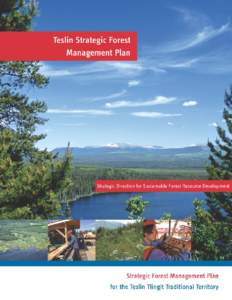 Teslin Strategic Forest Management Plan Strategic Direction for Sustainable Forest Resource Development  Strategic Forest Management Plan