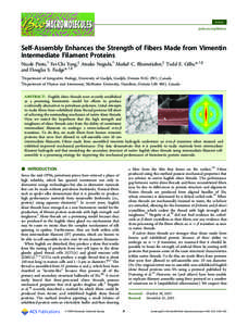 Article pubs.acs.org/Biomac Self-Assembly Enhances the Strength of Fibers Made from Vimentin Intermediate Filament Proteins Nicole Pinto,† Fei-Chi Yang,‡ Atsuko Negishi,† Maikel C. Rheinstad̈ ter,‡ Todd E. Gilli