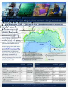 Deepwater Horizon Oil Spill Natural Resource Damage Assessment Early Restoration - Phase IV Early Restoration Plan and Environmental Assessments O  n September 23, 2015, the