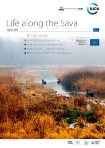 Life along the Sava March 2008 No. 1  In this issue: