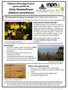 BBCH-scale / Botany / Biology / Flora of North America / Mimulus aurantiacus / Mimulus / Fruit