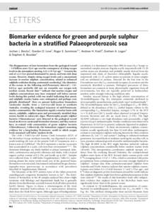 Vol 437|6 October 2005|doi:nature04068  LETTERS Biomarker evidence for green and purple sulphur bacteria in a stratified Palaeoproterozoic sea Jochen J. Brocks1, Gordon D. Love2, Roger E. Summons2,3, Andrew H. Kn