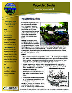 Vegetated Swales Ensuring clean runoff Vegetated Swales Lake friendly living