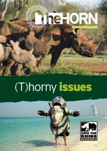 Magazine SpringT)horny issues STEVE & ANN TOON