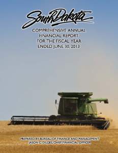 COMPREHENSIVE ANNUAL FINANCIAL REPORT FOR THE YEAR ENDED JUNE 30, 2013 DENNIS DAUGAARD, GOVERNOR MATT MICHELS, LT. GOVERNOR
