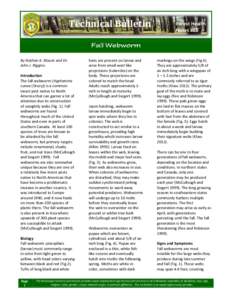 Technical Bulletin  By Nathan A. Blount and Dr. John J. Riggins. Introduction The fall webworm (Hyphantria