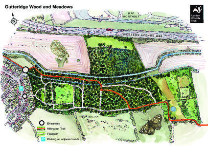 Gutteridge Wood and Meadows N RAF N O R T H O LT