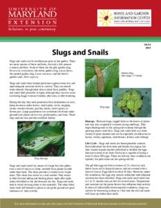 HG[removed]Slugs and Snails Slugs and snails can be troublesome pests in the garden. There are many species of these mollusks, but only a few present