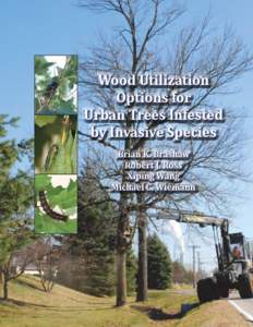 Wood Utilization Options for Urban Trees Infested by Invasive Species