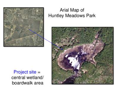 Arial Map of Huntley Meadows Park Project site = central wetland/ boardwalk area