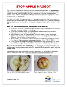 STOP APPLE MAGGOT The Canadian Food Inspection Agency (CFIA) has confirmed the presence of the apple maggot (Rhagoletis pomonella), a serious pest of apple, in non-commercial host trees in the Fraser Valley, Greater Vanc