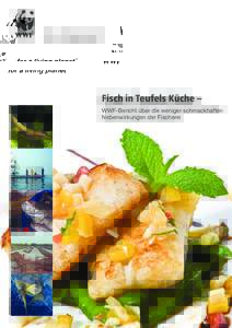 Fisch in Teufels Küche ­­– WWF-Bericht über die weniger schmackhaften Nebenwirkungen der Fischerei Fisch in Teufels  Küche –