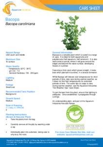 Bacopa Bacopa caroliniana Natural Range  General Information