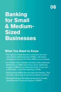 06  Banking for Small & MediumSized Businesses