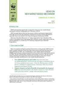 VIEWS ON NEW MARKET-BASED MECHANISM SUBMISSION TO SBSTA WWF March 2013