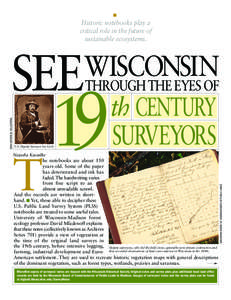 Temperate grasslands /  savannas /  and shrublands / Driftless Area / Geology of Illinois / Geology of Iowa / Geology of Minnesota / Pleistocene / Savanna / Prairie / Wetland / Biogeography / Terminology / Wisconsin