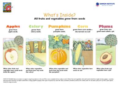 Nutrition for Health USA What’s Inside?  All fruits and vegetables grow from seeds