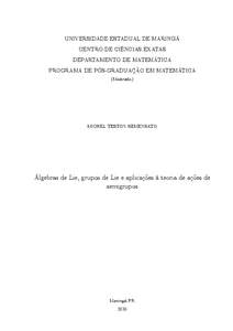 UNIVERSIDADE ESTADUAL DE MARINGÁ CENTRO DE CIÊNCIAS EXATAS DEPARTAMENTO DE MATEMÁTICA